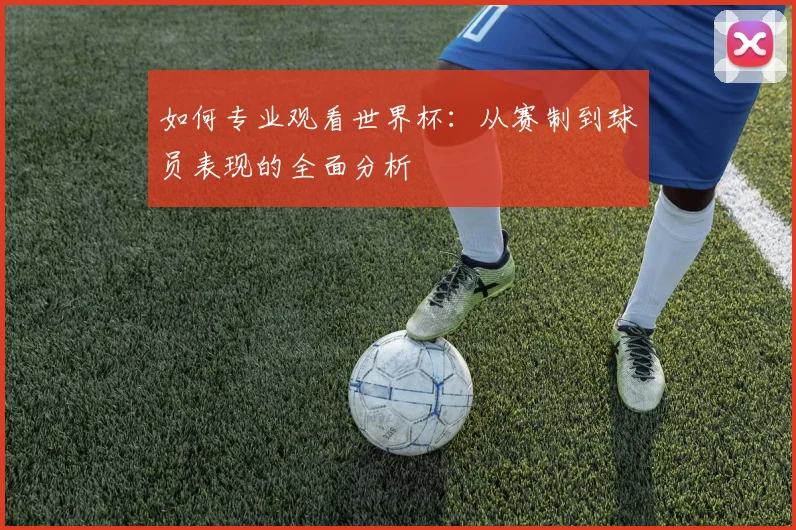如何专业观看世界杯：从赛制到球员表现的全面分析