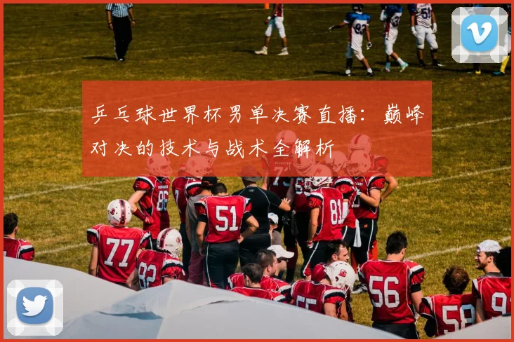 乒乓球世界杯男单决赛直播：巅峰对决的技术与战术全解析