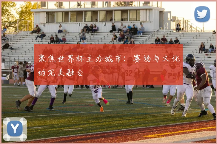 聚焦世界杯主办城市:赛场与文化的完美融合