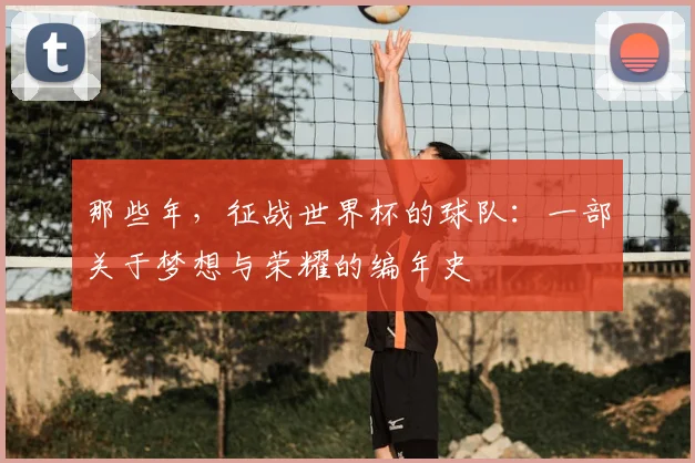 那些年，征战世界杯的球队：一部关于梦想与荣耀的编年史