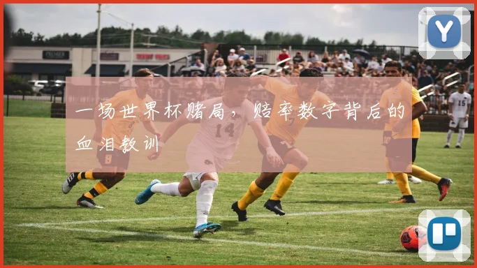 一场世界杯赌局，赔率数字背后的血泪教训